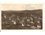 SUŠICE / ŠUMAVA   /r.1937?*b128