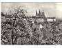 Praha Hradčany stromy v květu °1800