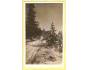 PANCÍŘ / chata MATTUŠE / ŠUMAVA /r1929?*BS40