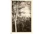 ŽAMBERK /r.1950?*AC=621