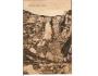VYSOKÉ TATRY / MLÝNICKÁ DOLINA /r.1922?*kd247