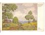 VALAŠSKÉ MOTIVY / mal.B.JARONĚK /r.1922?*kd351