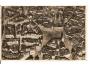PRAHA / Z LETADLA ,č.64 vzadu /r.1925?*kd412