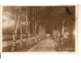 NOVÝ BYDŽOV / BŘEZOVÁ ALEJ /rok1930?*a-898