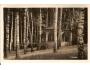 TURNOV / BŘEZOVÁ ALEJ /rok1930?*a-924