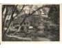 ÚSTÍ NAD ORLICÍ / ÚDOLÍ ORLICE /rok1925?*a-930