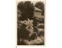 NOVÉ MĚSTO NA MORAVĚ /POMNÍK PADLÝM/ŠTURZA /rok1933?*a-1004