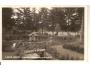 LÁZNĚ LETINY / KOUPALIŠTĚ /rok1930?*a-1052