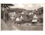 JANSKÉ LÁZNĚ + VZADU PŘÍL.RAZ./KRKONOŠE /rok1945?*a-1307