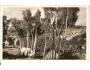 STARÁ PAKA /rok1938?*a-1315