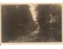 TŘEBOŇ / ALEJ V HRADEČKU / rok1932?*a-1407