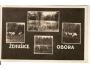 ŽEHUŠICE = OBORA BÍLÝ JELENI / rok1930?*a-1410