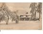 ZVIČINA / DVŮR KRÁLOVÉ / rok1922?*a-1433