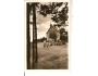 SV.ANTONÍČEK / BLATNICE /rok1950?*ab-1450