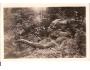 HOŘICE = KRAKONOŠ /rok1930?*fb1432