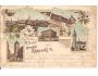DVŮR KRÁLOVÉ NAD LABEM= LITOGRAFIE= KOLÁŽ /rok1904*fb1516