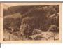 VICKOV = SOKOLSKÝ TÁBOR U VICKOVA /rok1950?*fb1691