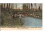 JELEN V POTOCE + PSI /rok1919?*fb1870
