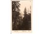 ADRŠPACH SKÁLY = KOZAK /rok1922?*fb1904