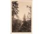 ADRŠPACH SKÁLY = KOZAK- JINÝ /rok1922?*fb1905