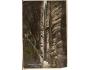 WEKELSDORFER SKÁLY /rok1913?*AA2871
