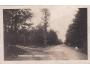 BOROHRÁDEK LESNÍ PARTIE r. 1927 GRAFO ČUDA °54025J