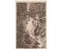 ŠUMAVA VODOPÁD =rok1912?*kc2386
