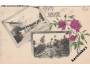 JILOVIŠTĚ =ČERNOŠICE =VRANÉ n.VLT.=PRAHA =rok1904?*kc2420