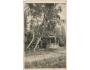 VELKÉ LOSINY /rok1920?*kc2936