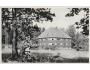 VELKÉ LOSINY /rok1930?*kc2939