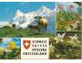 Švýcarsko flora krávy protěž 17-504**