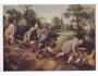 415104 Pieter Bruegel