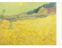 415178 Vincent van Gogh