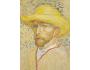 415188 Vincent van Gogh
