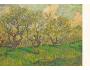 415193 Vincent van Gogh