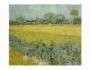 415256 Vincent van Gogh