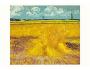415259 Vincent van Gogh