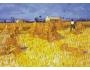 415260 Vincent van Gogh