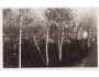 ŽAMBERK /rok1931?*A6784