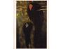 415366 Gustav Klimt