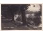 ŽINKOVY / PLZEN /rok1927?*BE7171