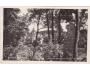 ŽINKOVY = PLZEŇ /rok1930?*BE7539