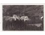 LÁZNĚ U STUDNĚ MARIÁNSKÉ POD ZVIČINOU /rok1936?*BE7658