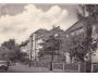 SUCHDOL NAD ODROU /rok1964/*UF8278