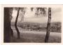KRNOV =rok1945*AA9516