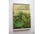 Phyllis Allfreyová: Dům mezi orchidejemi (1986)