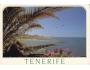 423675 Španělsko - Tenerife