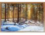 Vlastimil Bareš: Svítání v zimním lese - Olej