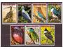 Rovníková Guinea - ptá, ptáci - Asie **