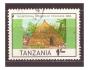 Tanzanie - stavba